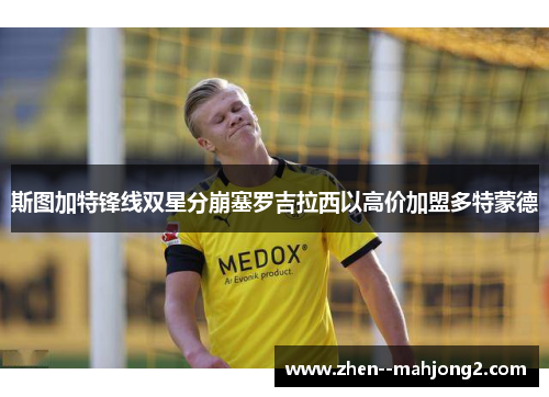 斯图加特锋线双星分崩塞罗吉拉西以高价加盟多特蒙德 斯图加特锋线双星分崩塞罗吉拉西以高价加盟多特蒙德